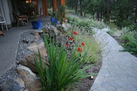 landscaped lawn