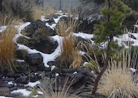 landscaped lawn