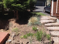 landscaped lawn